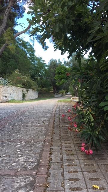 Tenuta Valle Della Corte Vieste Exterior photo