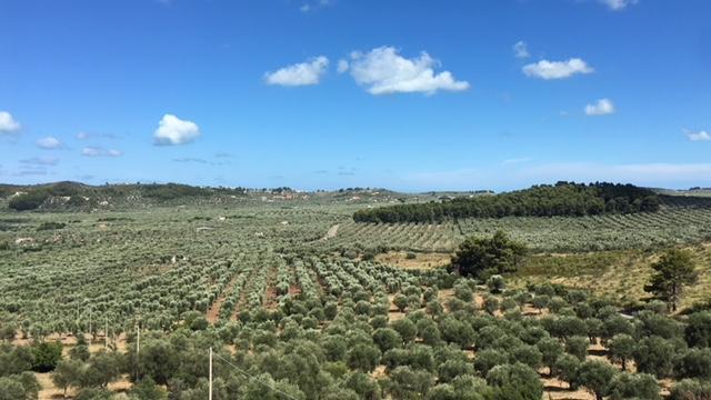 Tenuta Valle Della Corte Vieste Exterior photo