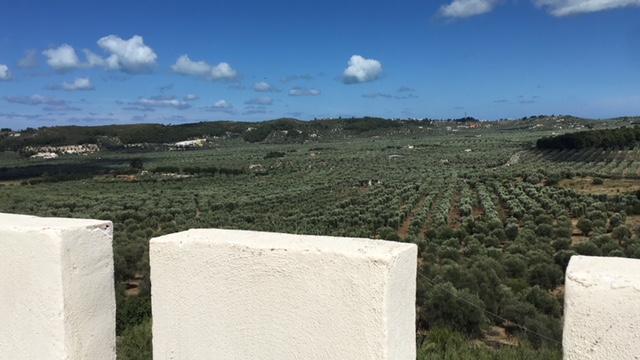 Tenuta Valle Della Corte Vieste Exterior photo